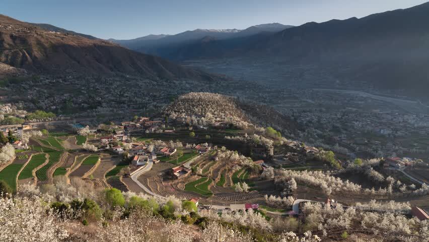 8K梨花盛开的金川沙耳乡晨光延时