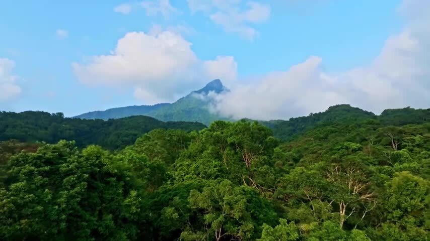 海南五指山热带雨林航拍