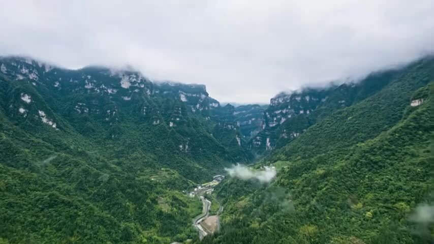 8K三峡竹海4A景区全景自然风光延时