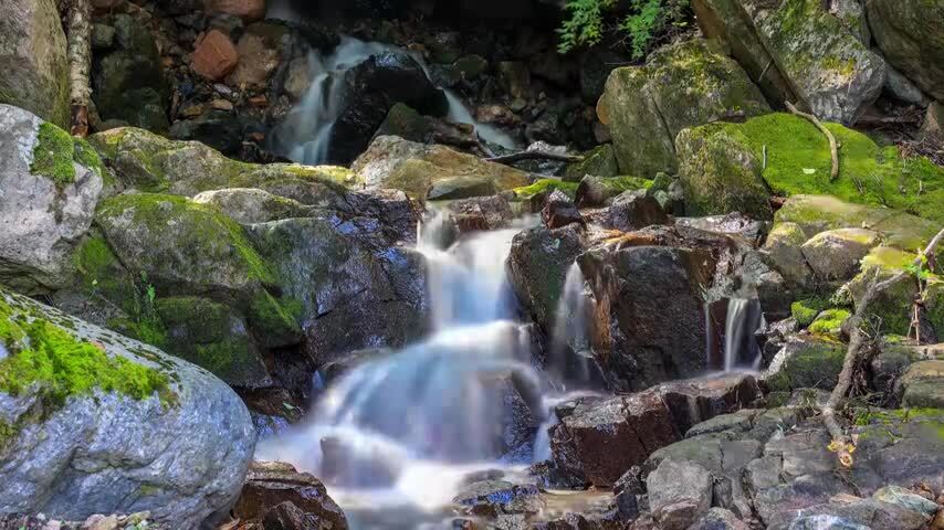 小溪森林流水溪水延时