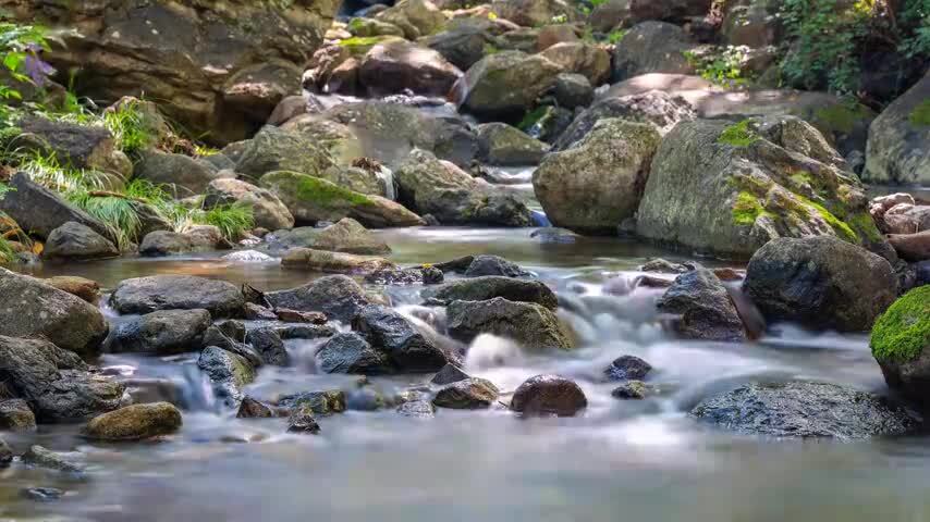 小溪森林流水溪水延时