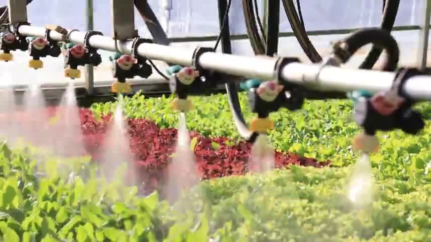 现代化农业大棚