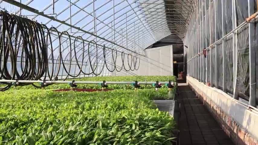 现代化农业大棚