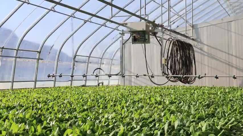 现代化农业大棚