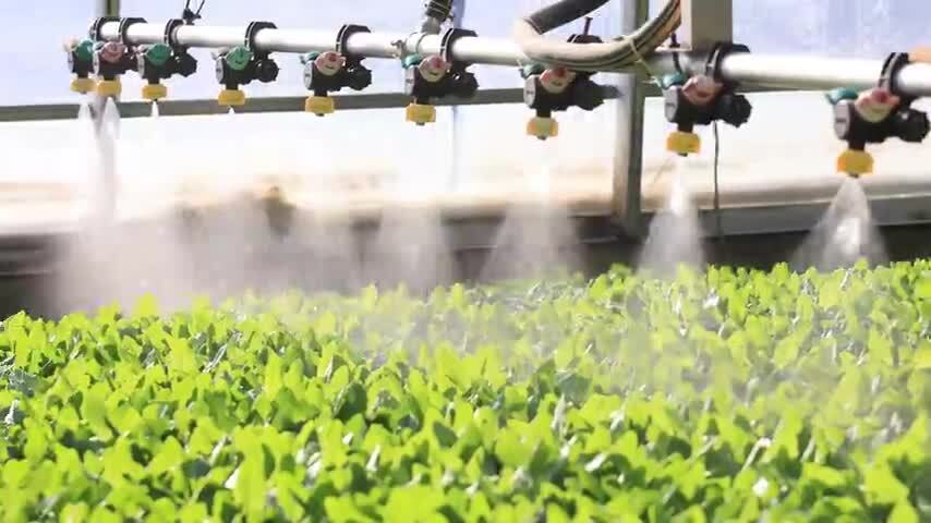 现代化农业大棚