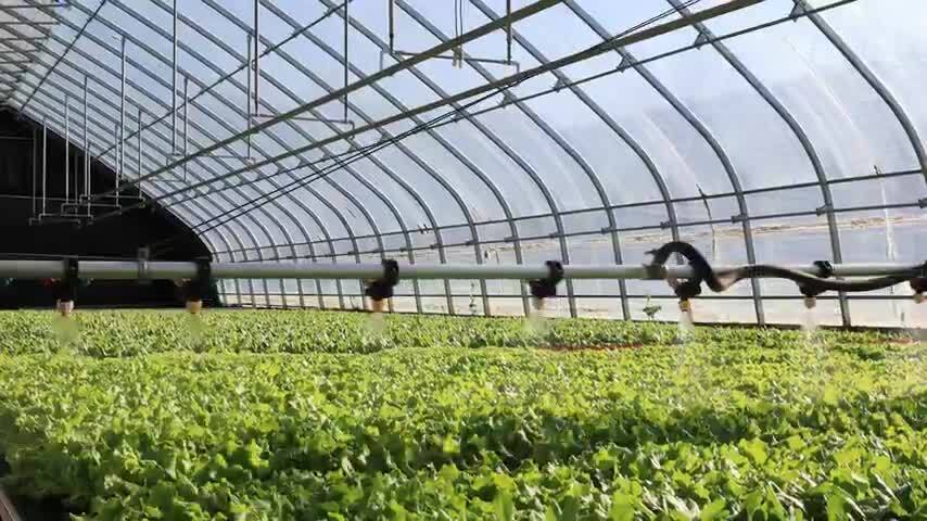 现代化农业大棚