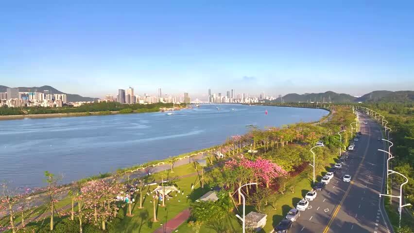 航拍横琴新区花海长廊