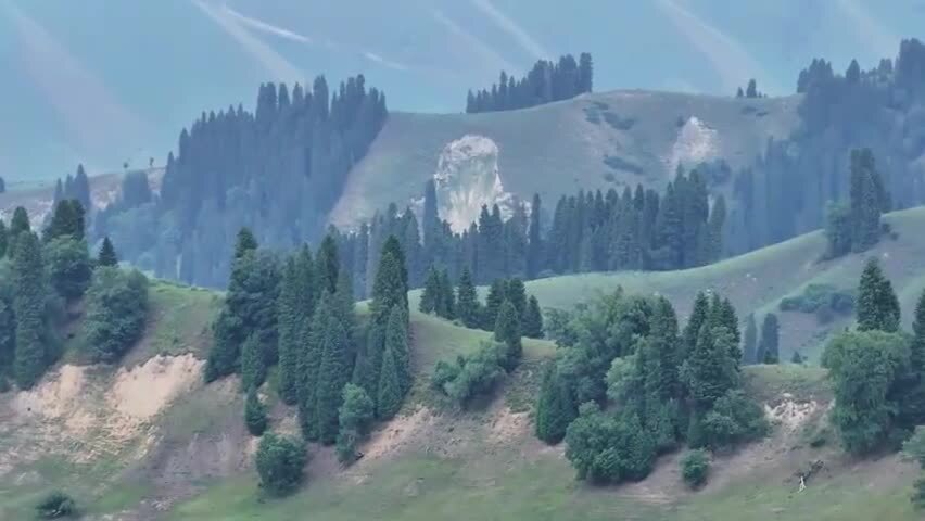 航拍夏天的新疆恰西森林公园风景