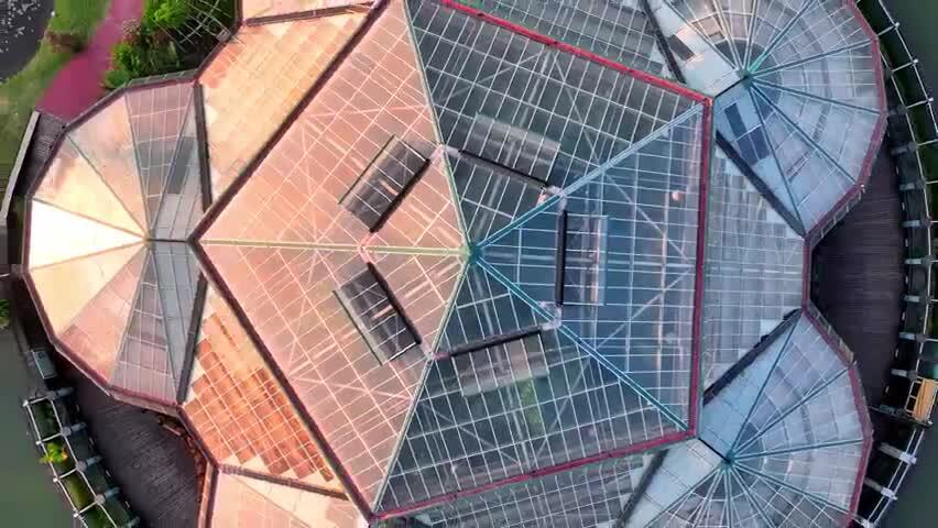 航拍广州华南国家植物园温室