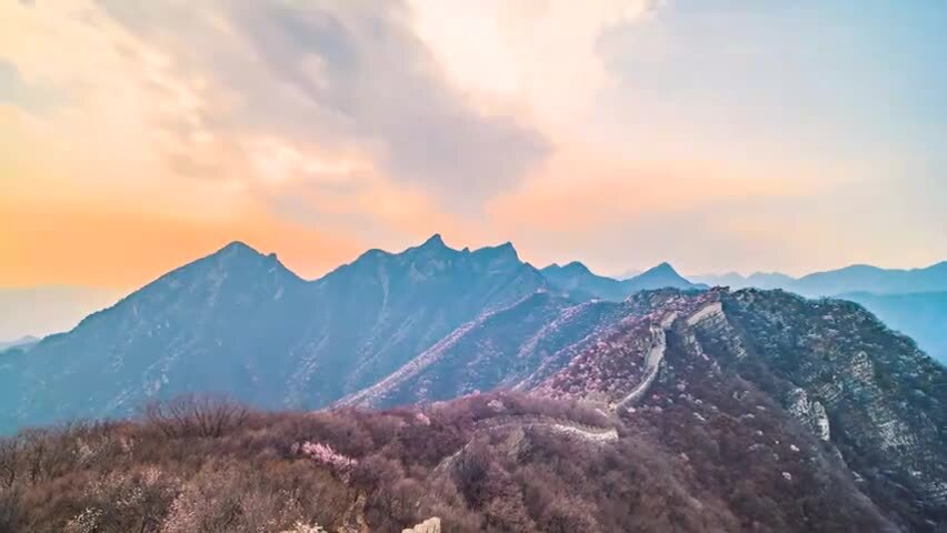北京春天长城傍晚漫山遍野山桃花夕阳延时