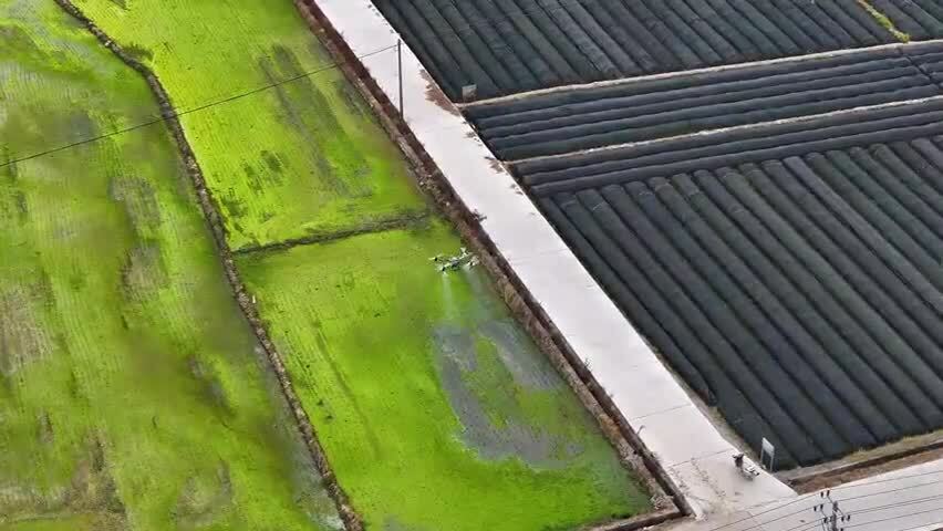 农业科技化无人机喷洒农药