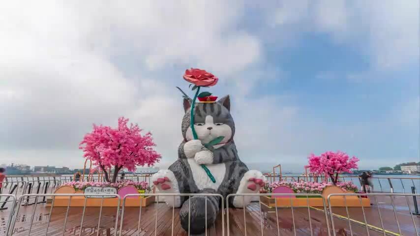 山东省烟台市芝罘区芝罘湾广场吾皇猫蓝天白云城市建筑风光延时视频