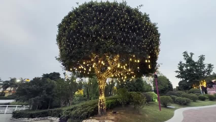 挂满装饰彩灯的大树