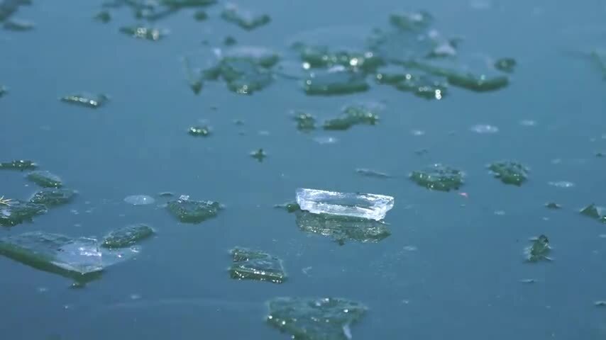 寒潮来临气温下降南京玄武湖公园湖面结冰