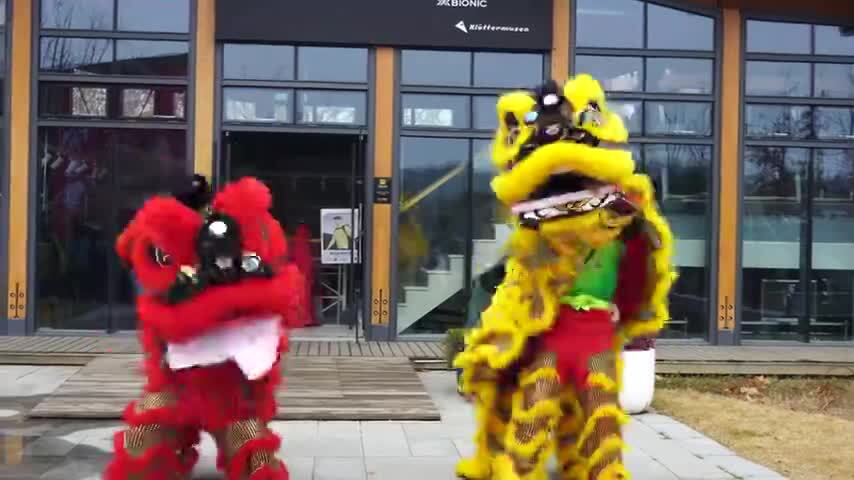 中国传统民俗文化舞狮醒狮