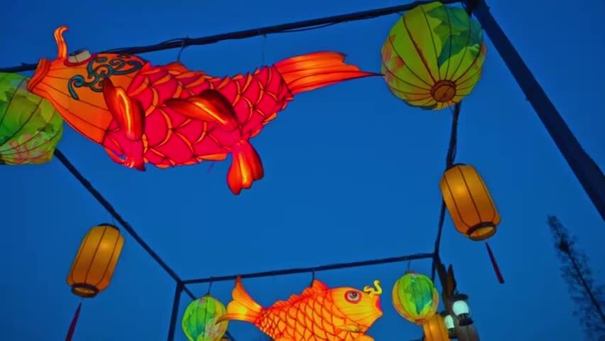 新年鱼灯花灯夜景