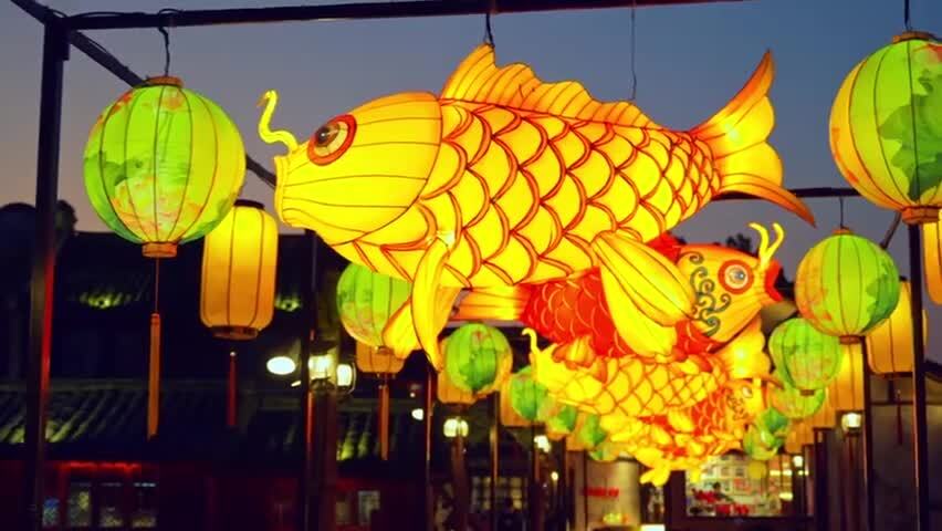 新年鱼灯花灯夜景