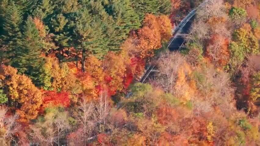 深秋时节下东北辽宁坎川岭公路无边秋色