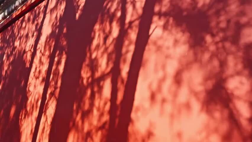 北京故宫红墙光影斑驳