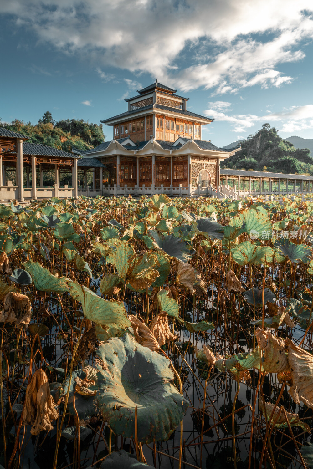 福州大学福友阁夜景