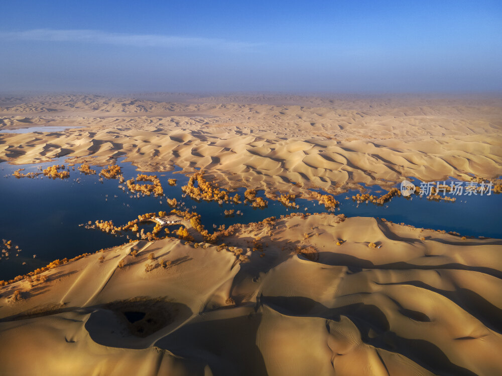 新疆蔚犁葫芦岛胡杨林