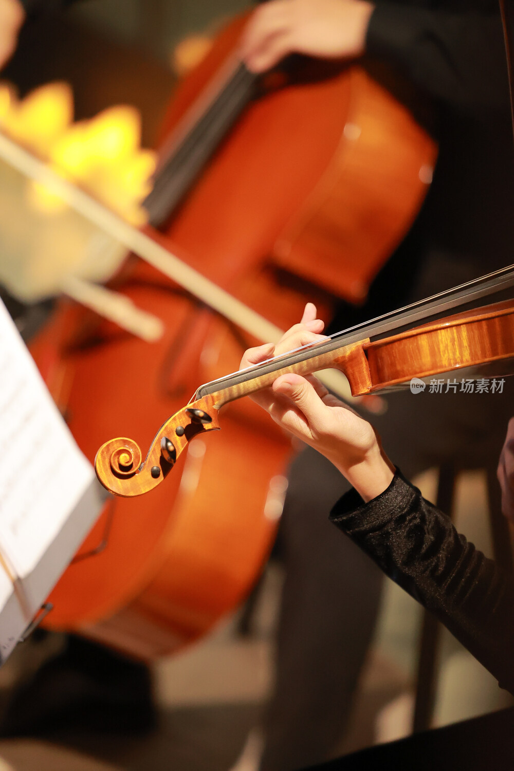 大提琴小提琴的手部特写和弦乐特写
