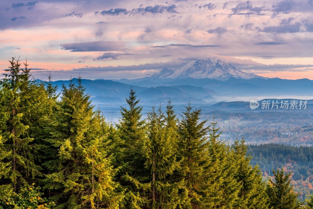 华盛顿雷尼尔山国家公园