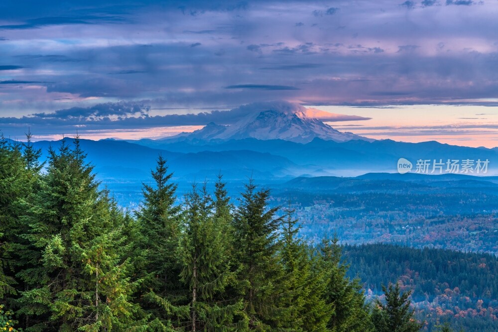 华盛顿雷尼尔山国家公园