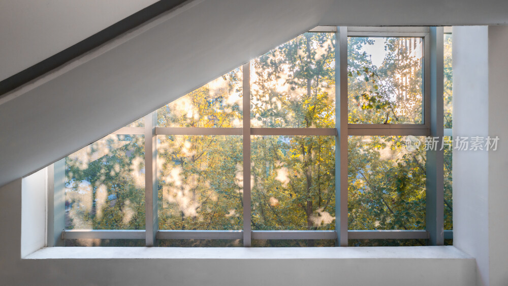 秋天福州大学室内建筑与金黄色银杏树