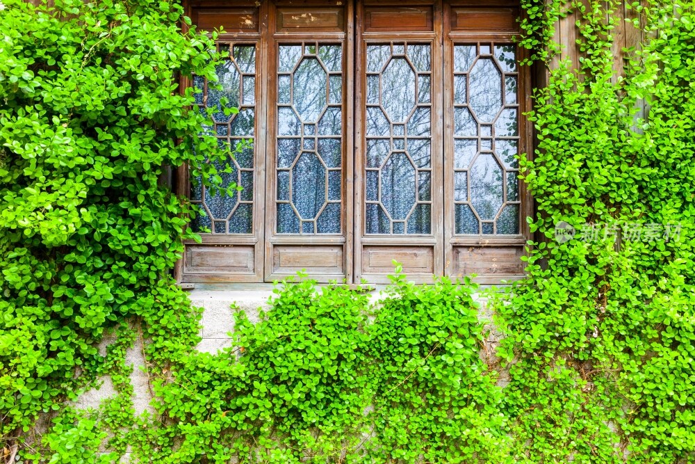 西溪国家湿地公园