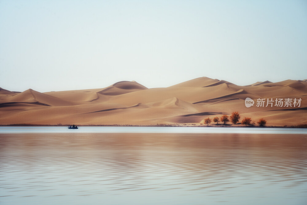 新疆塔里木河胡杨林