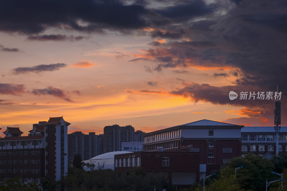 大学校园里的日落