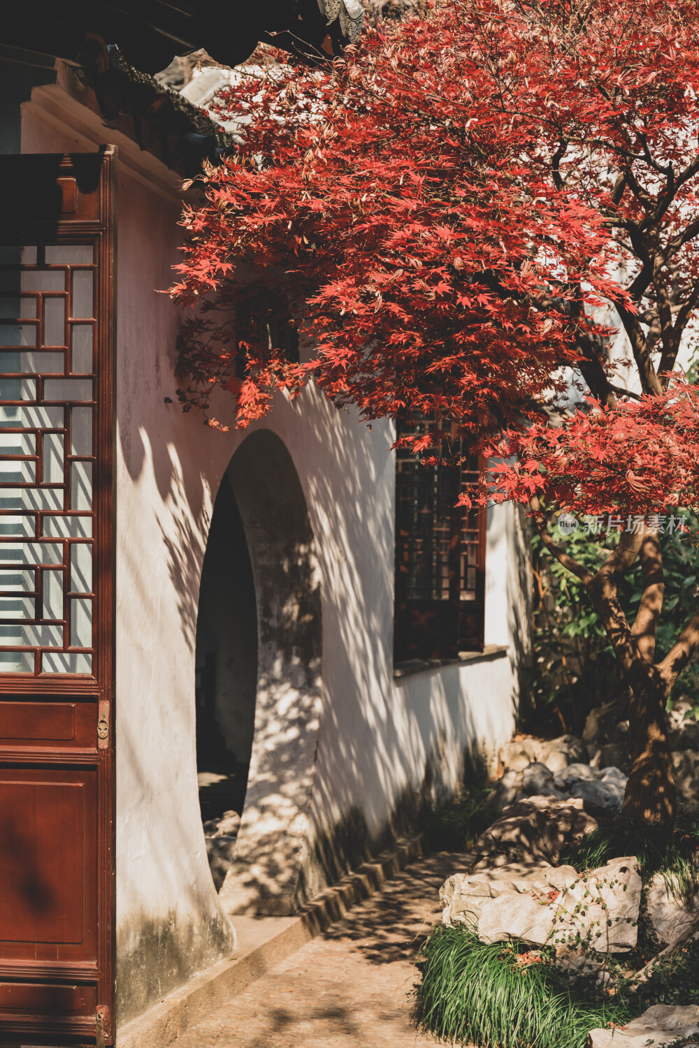 苏州园林风光之艺圃鸡爪槭