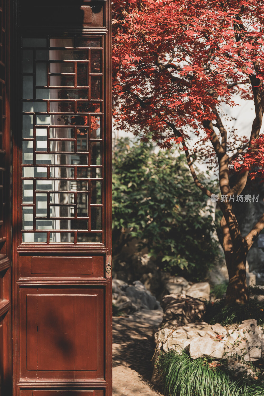 苏州园林风光之艺圃鸡爪槭