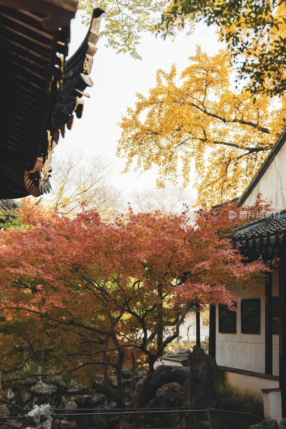 苏州园林风光之怡园秋景