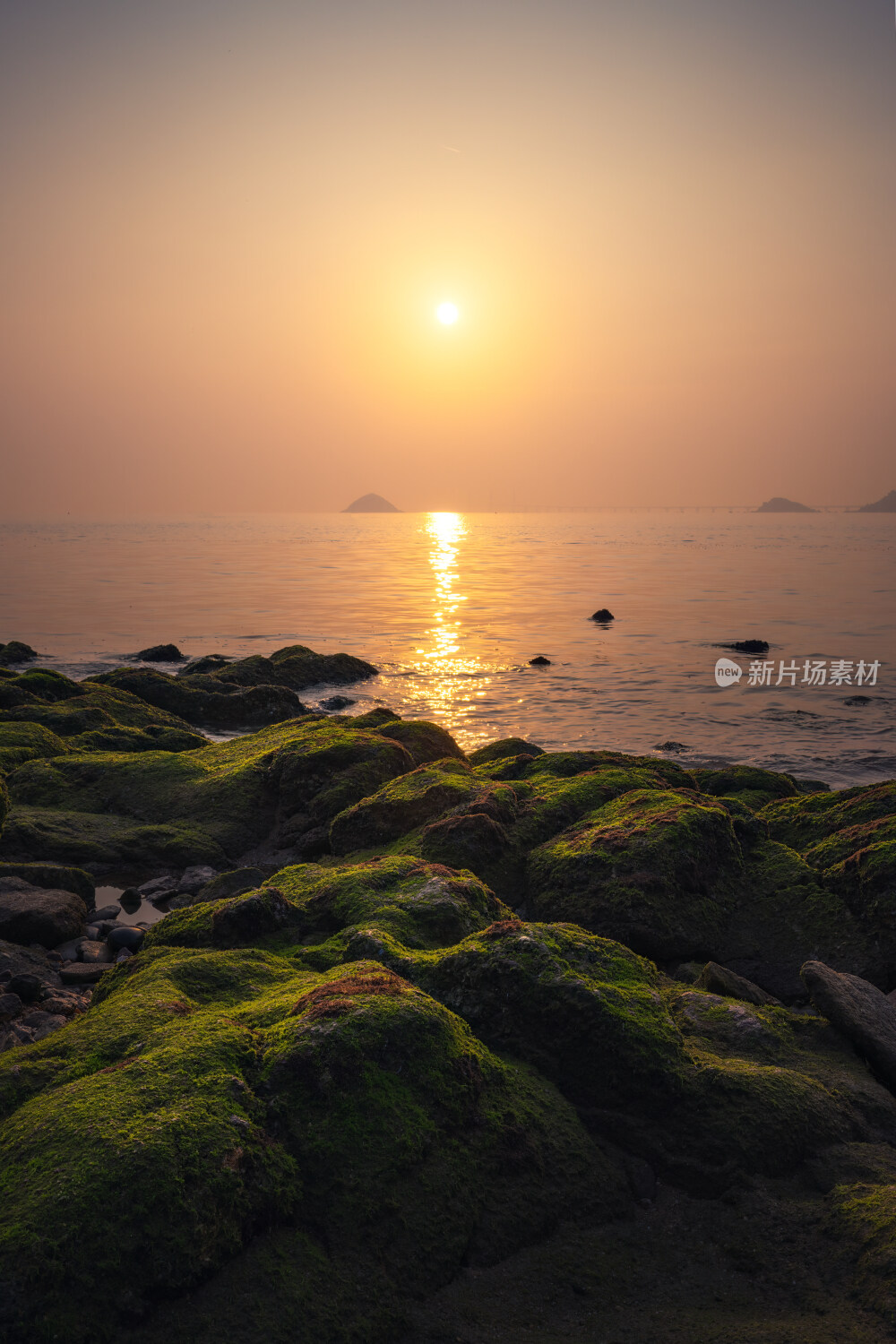 珠海海边青苔日出