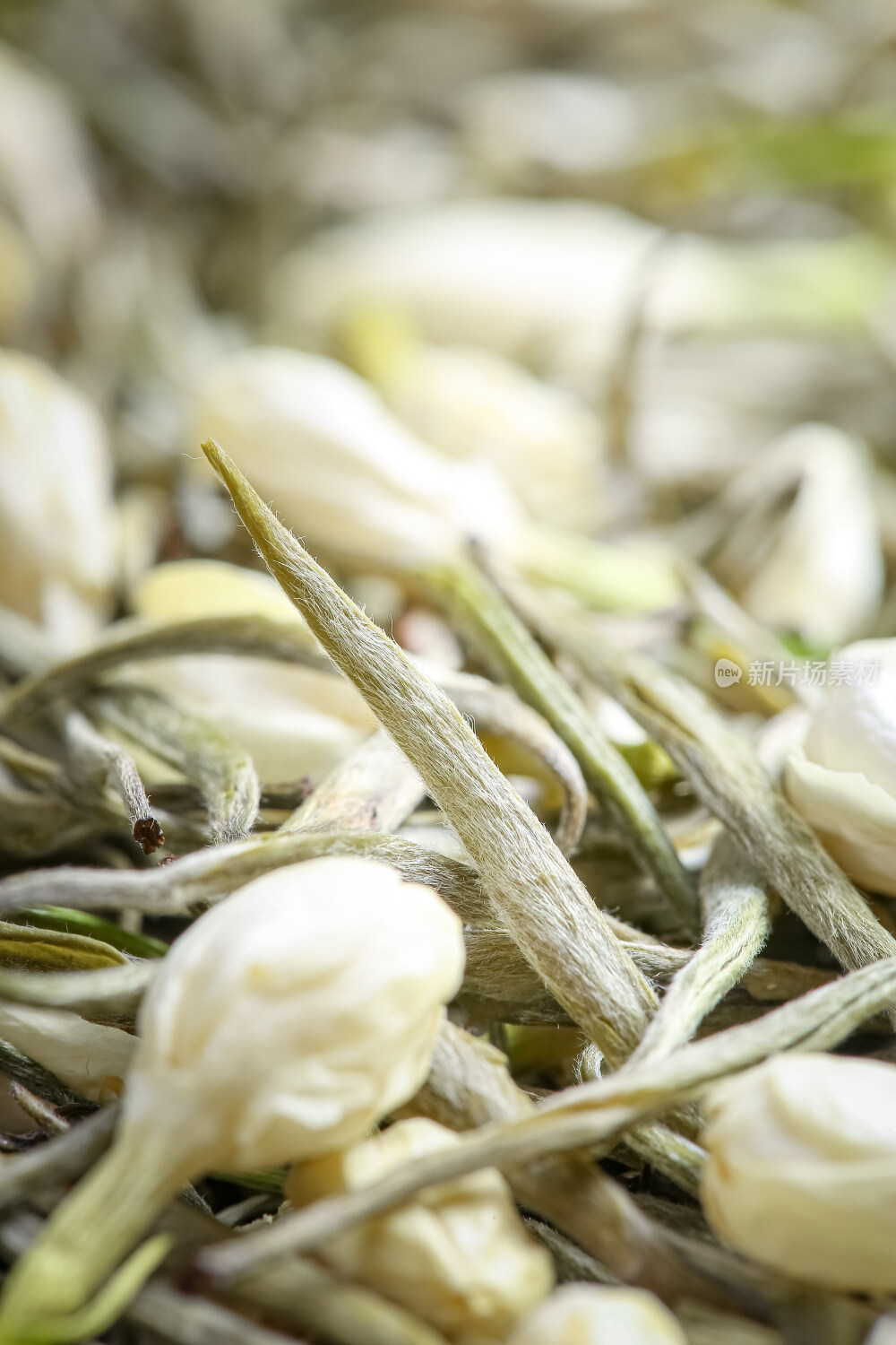 茉莉花茶茶叶