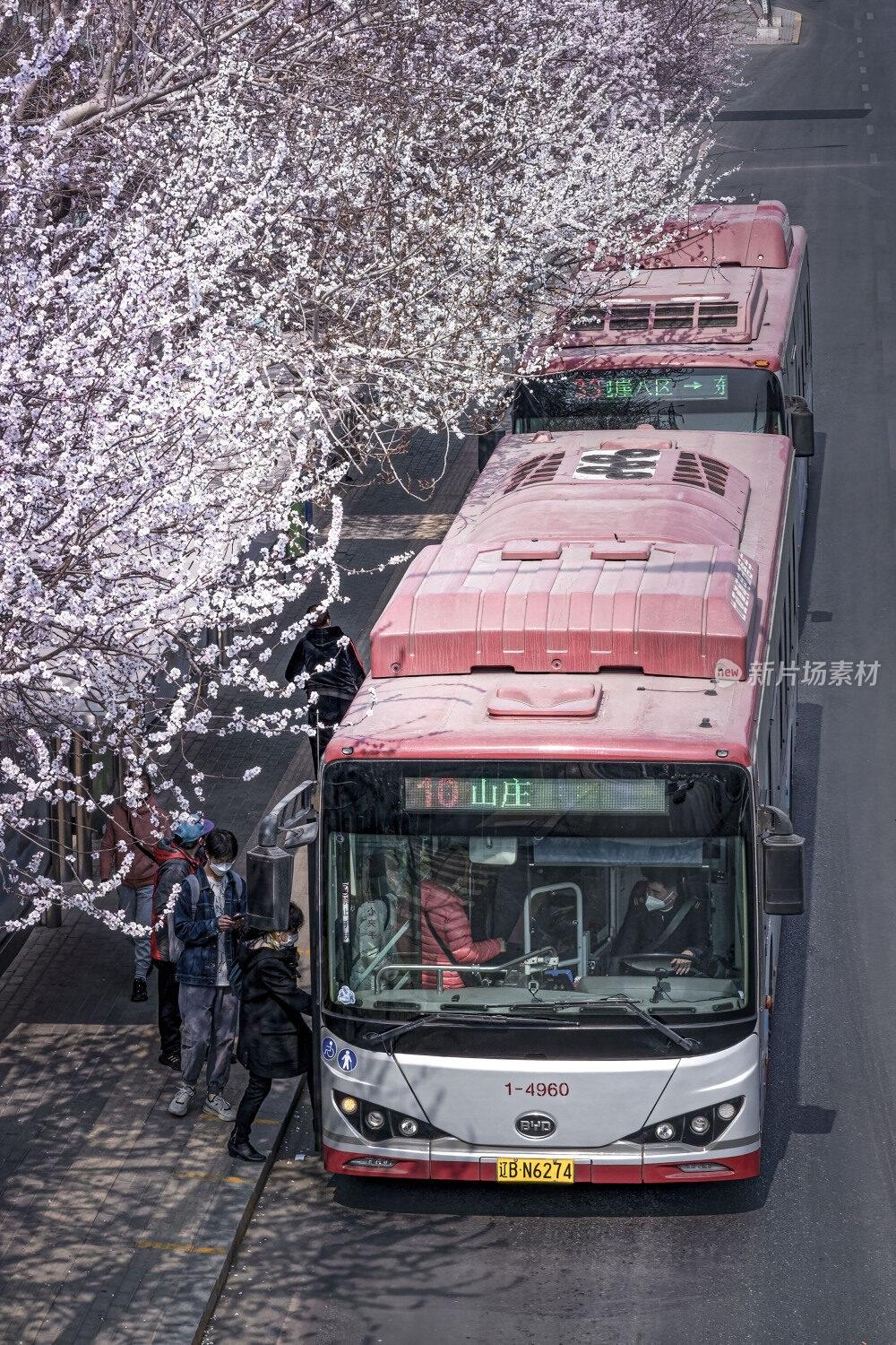 大连花海公交站