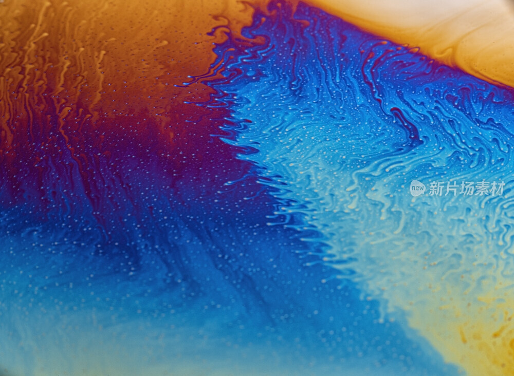 色彩斑斓的微观世界