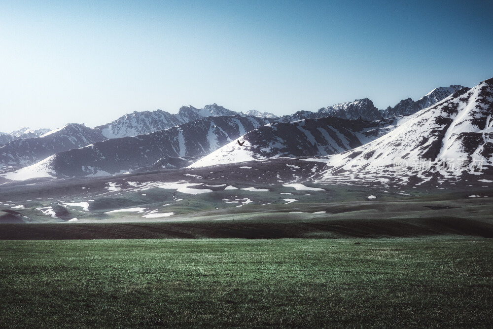新疆那拉提空中草原上雄鹰飞过雪山