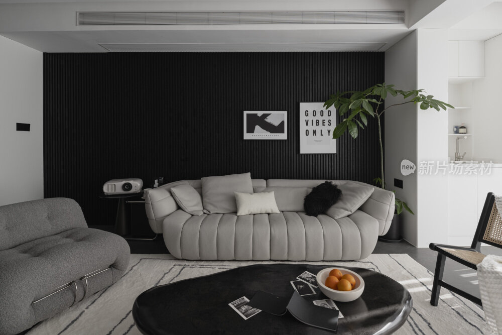 现代黑白简约室内装修设计