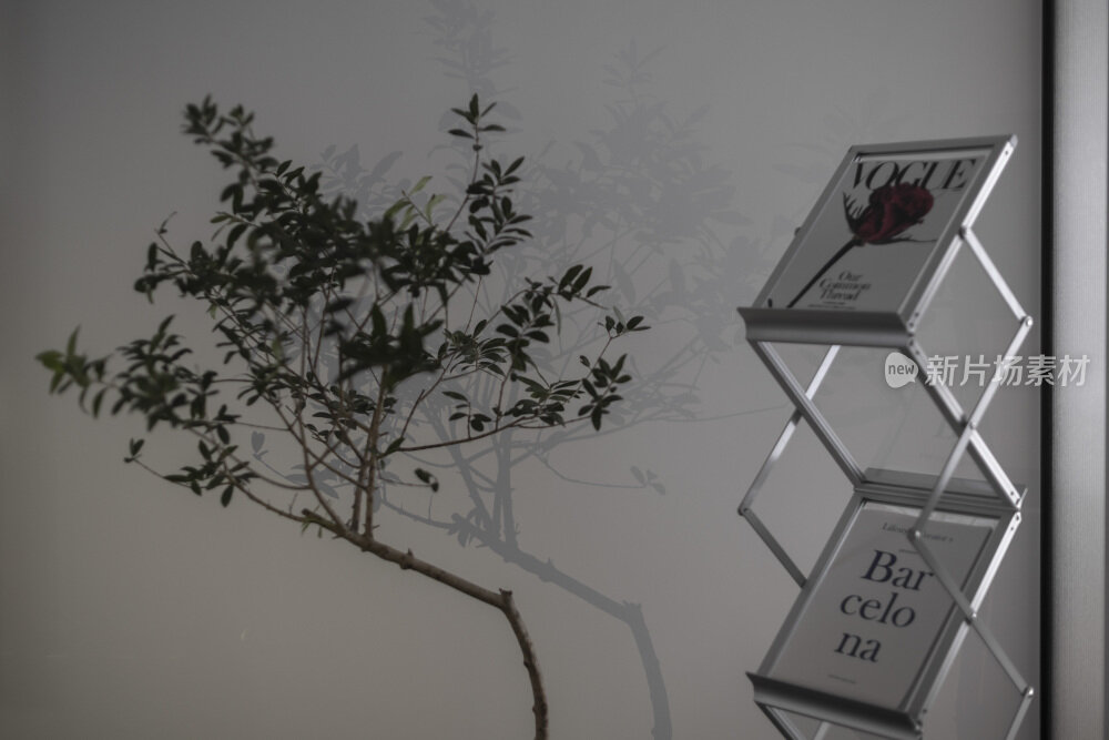 现代黑白简约室内装修设计