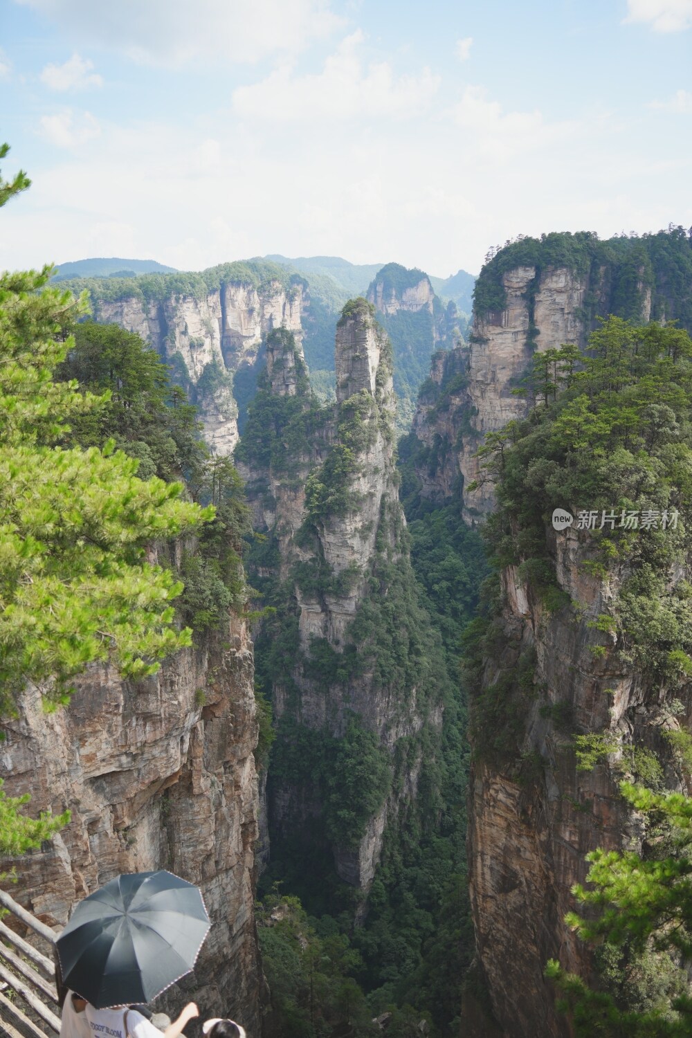 张家界风光素材