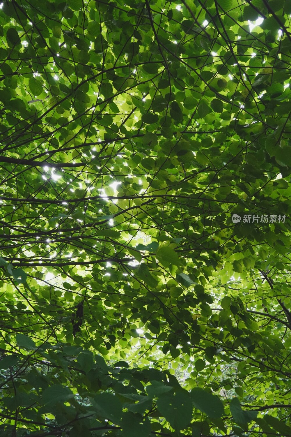 张家界天门山景区风光素材