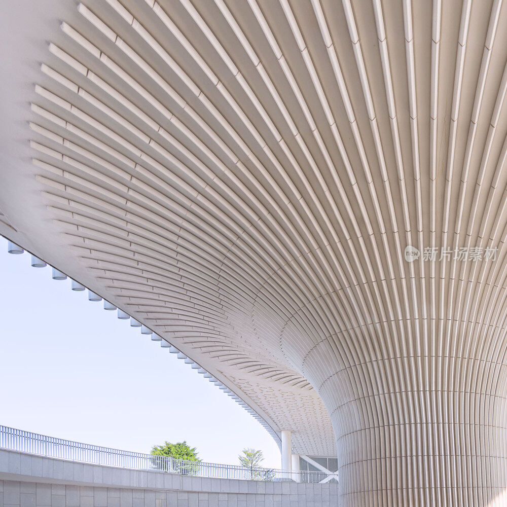 福州三坊七巷茉莉花福州海峡文化艺术中心