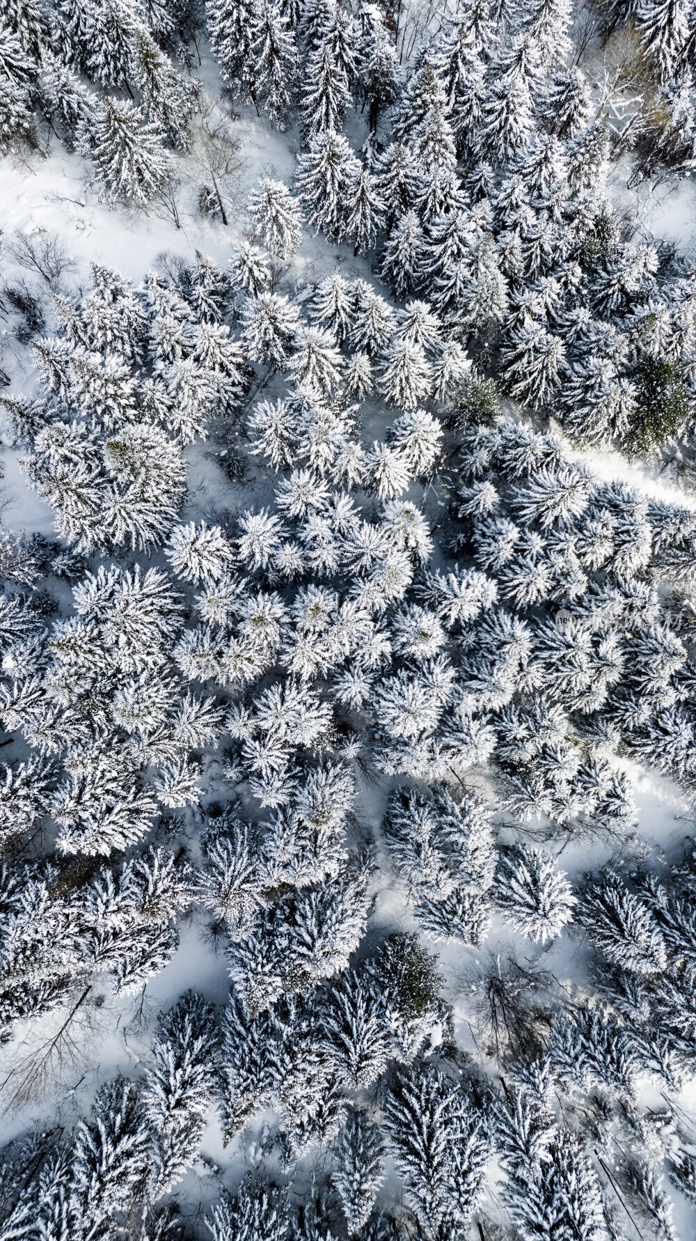 张广才岭黑龙江牡丹江段雪景航拍