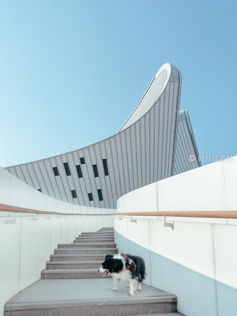 福州三坊七巷茉莉花福州海峡文化艺术中心