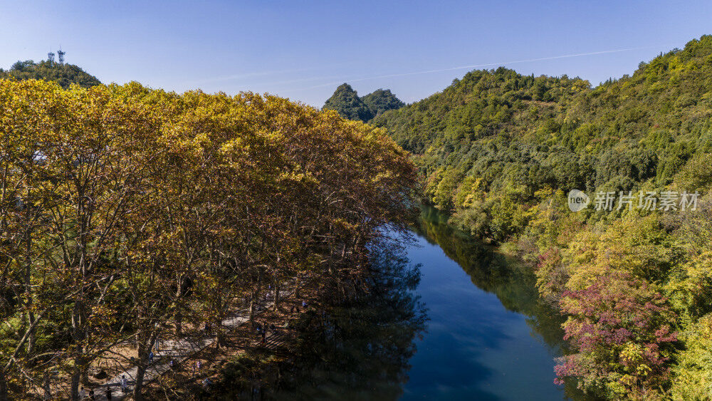 航拍黄金大道梧桐换金色秋装似油画