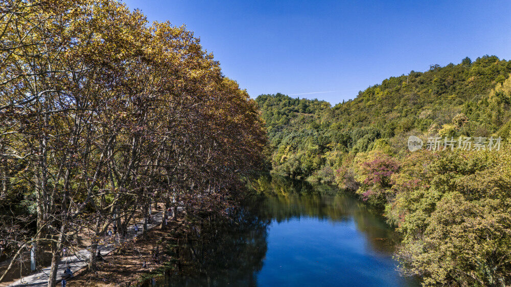 航拍黄金大道梧桐换金色秋装似油画