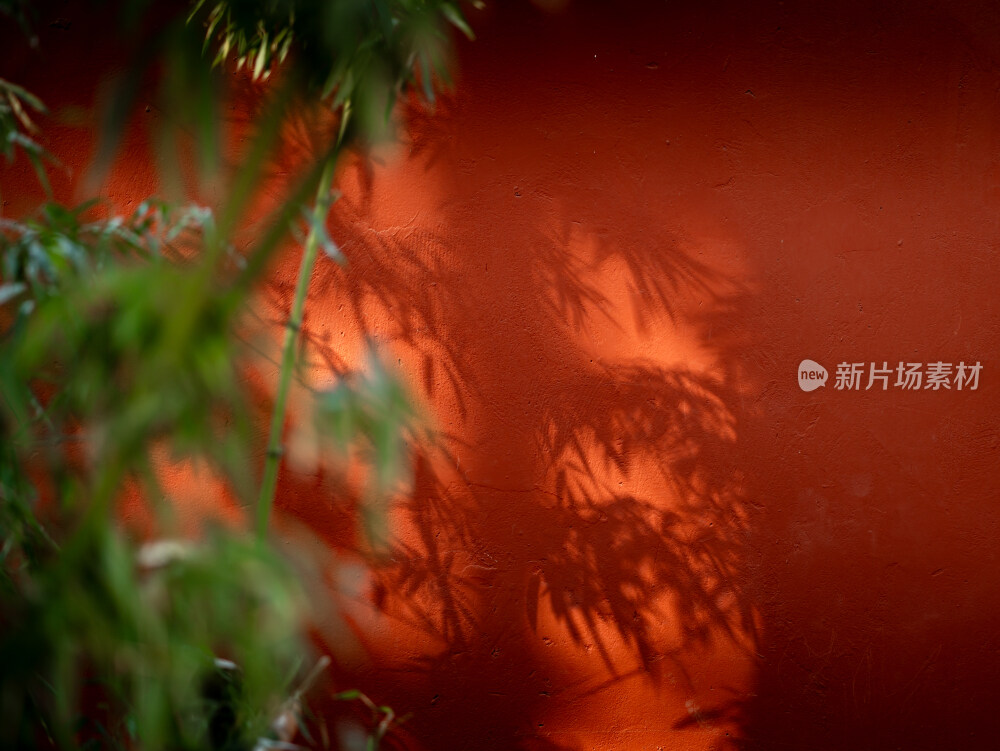 红墙下的竹子竹影背景